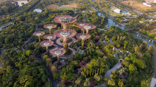 Aerial view of Gardens by the Bay in Singapore, Asia