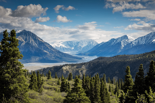 Mountain range in Kluane National Park in Canada surrounded by green forests