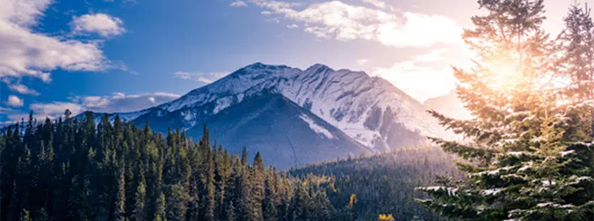 Snow covered mountain surrounded by pine trees in Banff, Canada